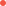+27 71 969 7280